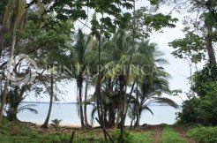 Oceanview Land in Isla Viveros Available for Sale