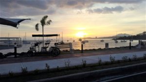 whatsapp-image-2017-01-21-at-1-01-33-pm-2