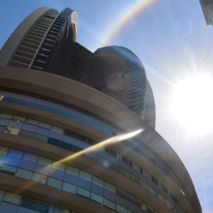 Trump with Rainbow (1) Trump with Rainbow (1)