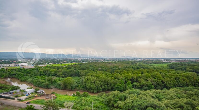 _DSC0441-2