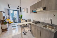 For Rent | Cozy 1-Bedroom Furnished Apartment for Modern Living | The Gray