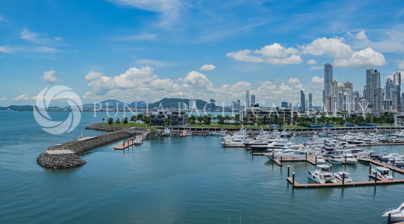 _DSC0456