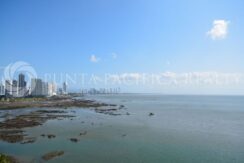 WhatsApp Image 2025-01-28 at 3.17.02 PM (1)