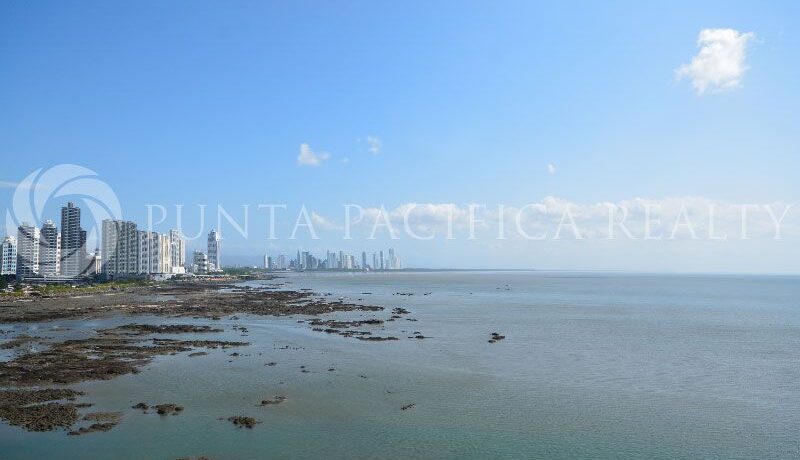 WhatsApp Image 2025-01-28 at 3.17.02 PM (1)