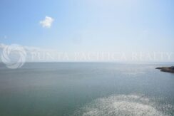 WhatsApp Image 2025-01-28 at 3.17.02 PM