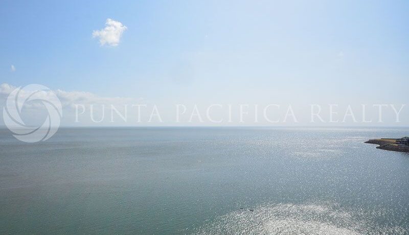 WhatsApp Image 2025-01-28 at 3.17.02 PM