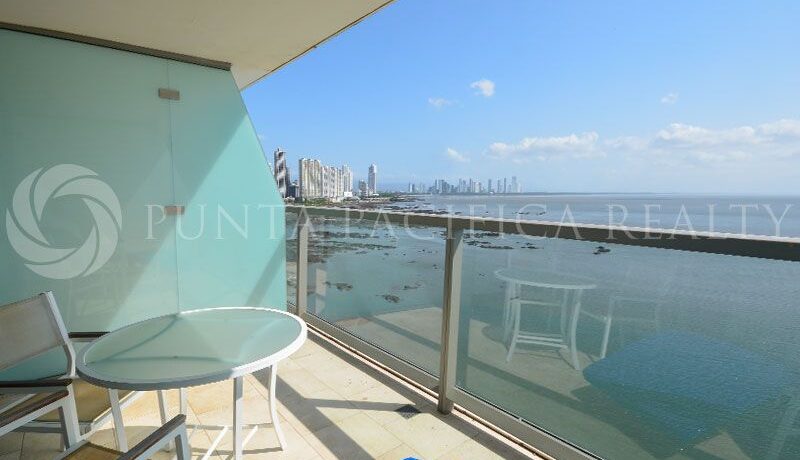 WhatsApp Image 2025-01-28 at 3.17.03 PM