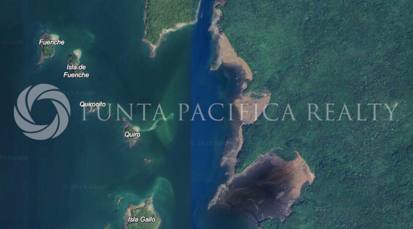 Isla Gallo Location alado isla Viveros