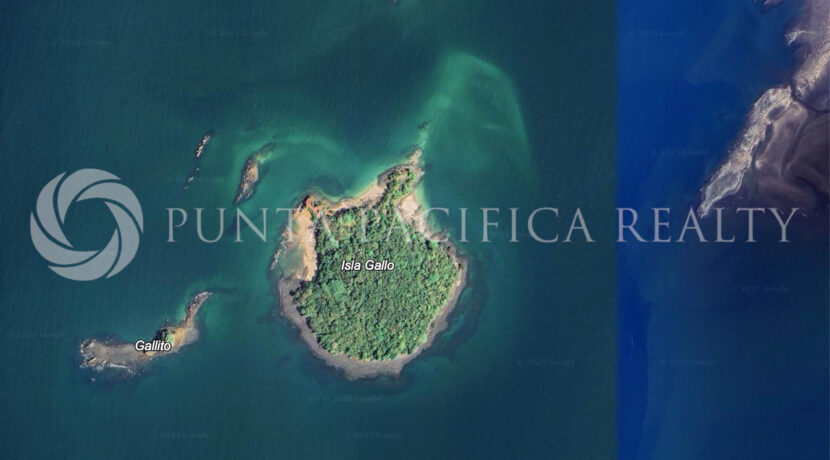 Isla Gallo Panama