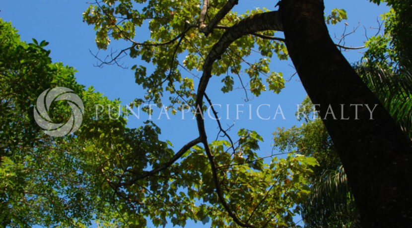 island edit DSC_0229