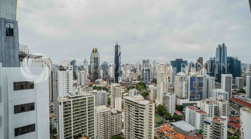 _DSC8081