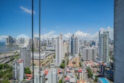 _DSC8417