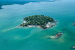 For Sale | Paradisiacal Private Island Located in Panama’s Pearl Islands