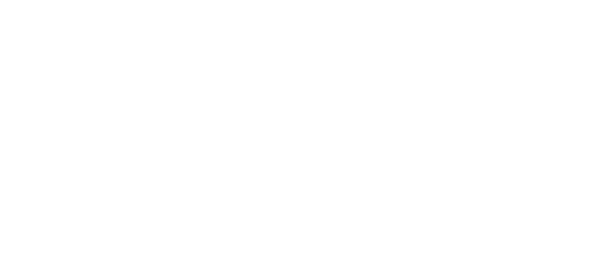 Playa Caracol logo
