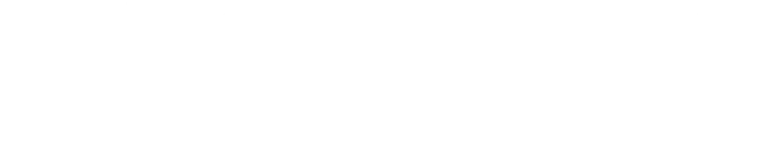 NAYAMARA LOGO