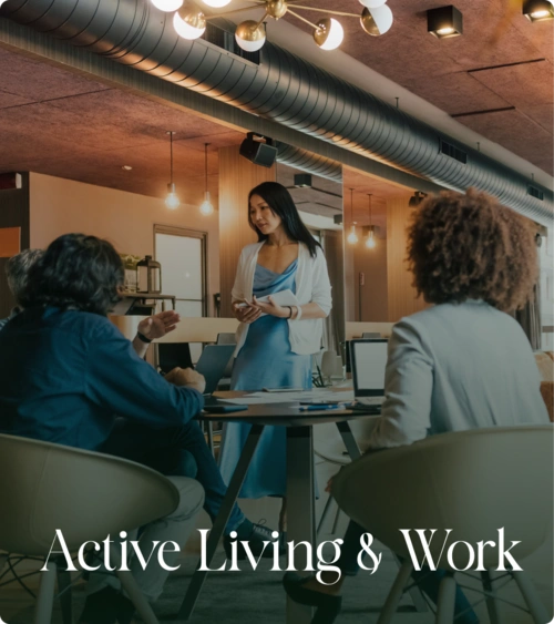 celeste-lifetime-image-work