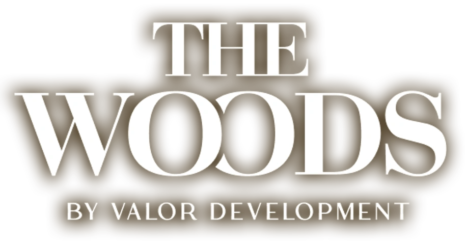 the-woods-hero-logo-shadow