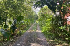 BOCAS DEL TORO HOUSE-03