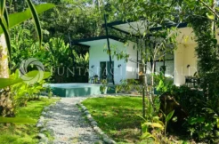 For Sale | Private Jungle Retreat with Pool and Guest houses |